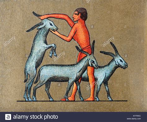 The Tale of Two Goats! An Exploration of Egyptian Folklore from the 13th Century